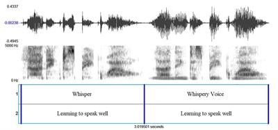 Multimodal impressions of voice quality settings: the role of vocal and visual symbolism